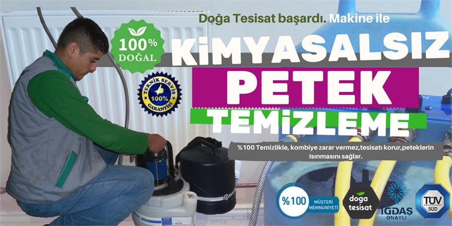 Petek Temizliği