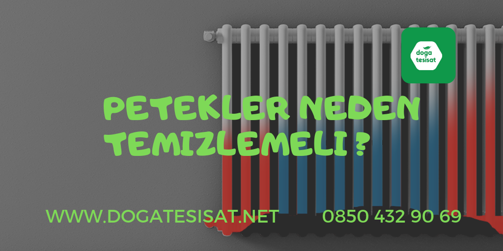 Petekler Neden Temizlemeli ?